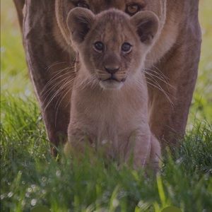 Meet your Posher, Roberto